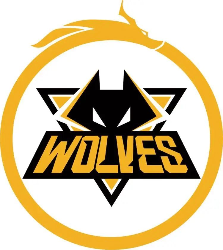 重逢敌友，盘点TI之中的那些经典画面